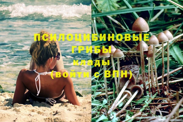 мяу мяу мука Алексеевка