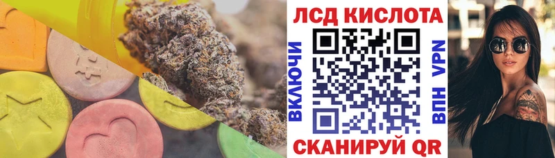 LSD-25 экстази ecstasy  как найти   Новозыбков 