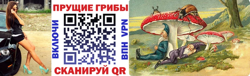 Псилоцибиновые грибы Cubensis  ссылка на мегу   Новозыбков 