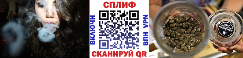 где можно купить наркотик  Новозыбков  блэк спрут ССЫЛКА  Бошки марихуана марихуана 