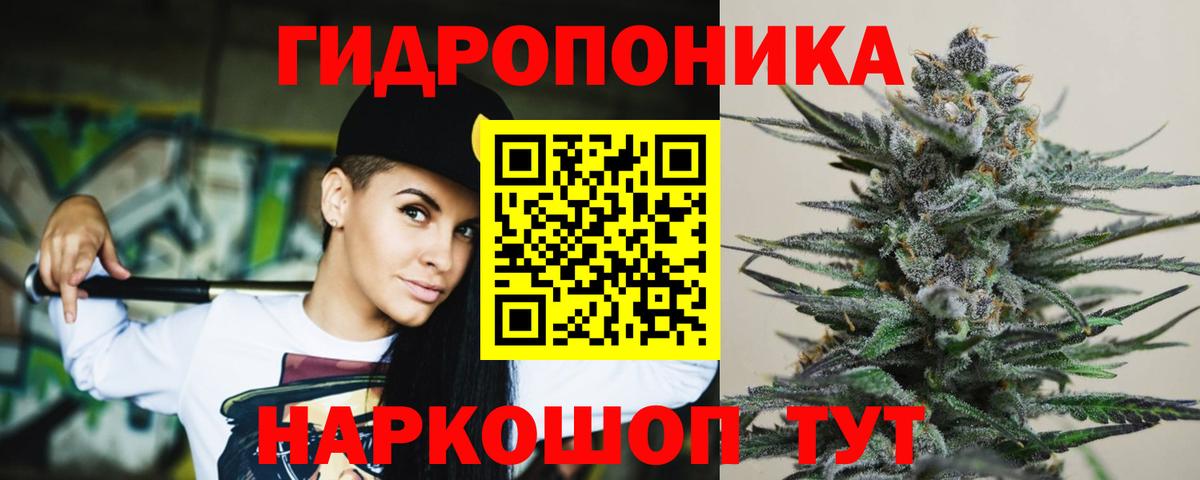 Бошки марихуана SATIVA & INDICA  Вход с VPN  МАРИХУАНА Amnesia  Новозыбков  Канабис VHQ 